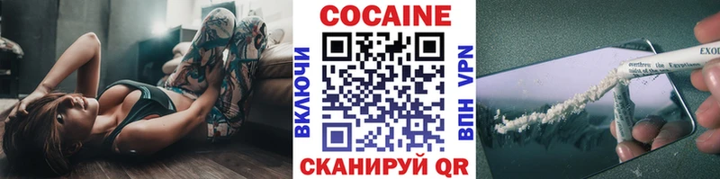 COCAIN Fish Scale  Купить закладки  Сургут 