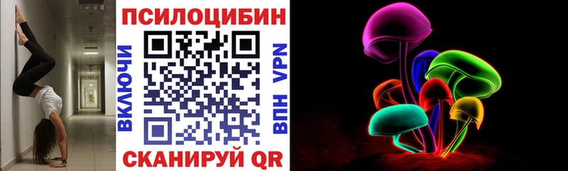 Псилоцибиновые грибы мицелий  Купить закладки  Сургут 